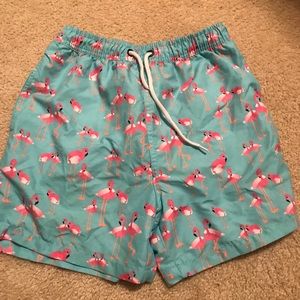 Flamingo Swim trunks